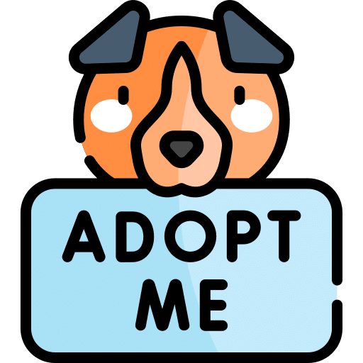 Adopt a Puppy